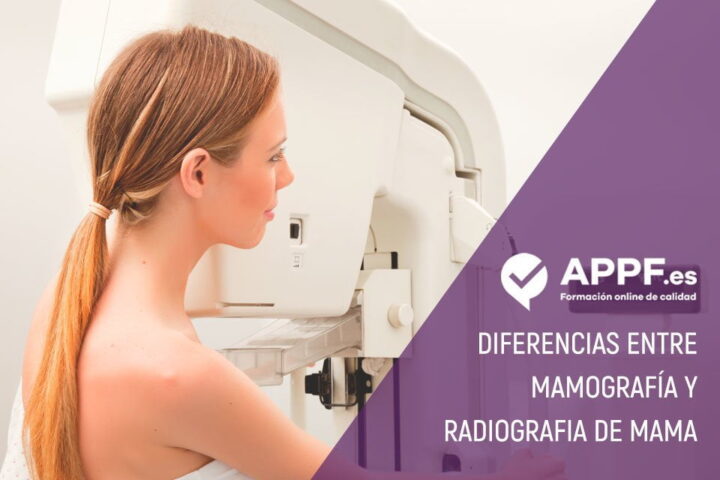 ¿Qué diferencias hay entre una mamografía y una ecografía de mama?