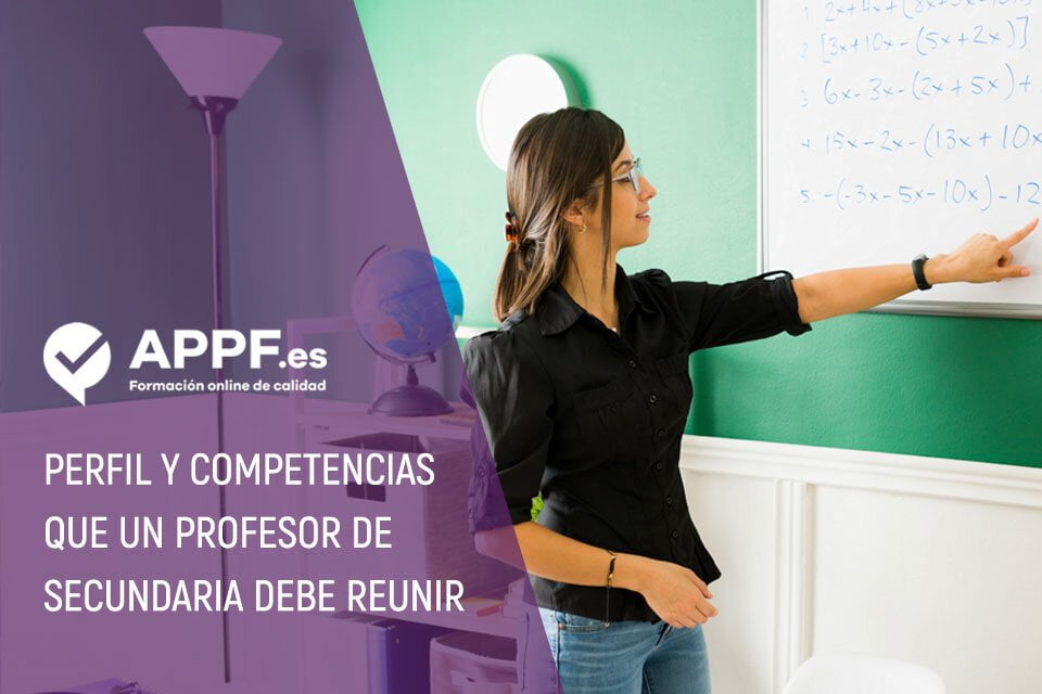 ¿cuáles son las competencias que un profesor de secundaria debe reunir?