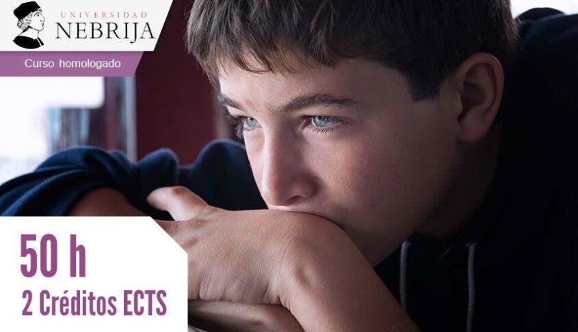 Curso de Autismo y Educación