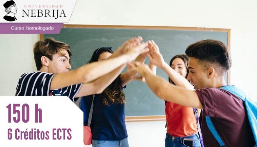 Curso homologado en valores éticos en el alumnado de la etapa de Secundaria, como base de un buen clima en el aula