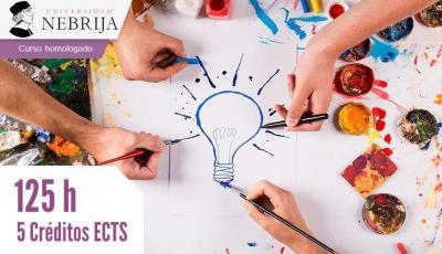 Curso de La inteligencia creativa como factor del proceso enseñanza-aprendizaje en educación infantil, primaria y secundaria