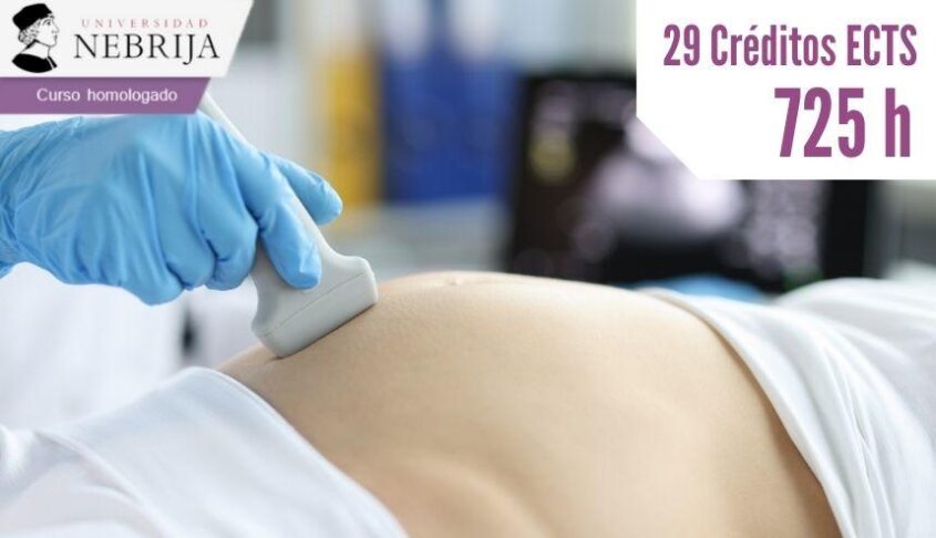 Obstetricia para enfermería