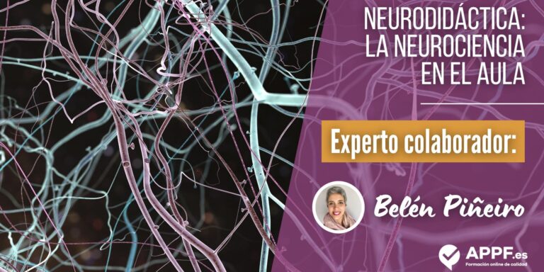 neurodidactica-la-neurociencia-en-el-aula