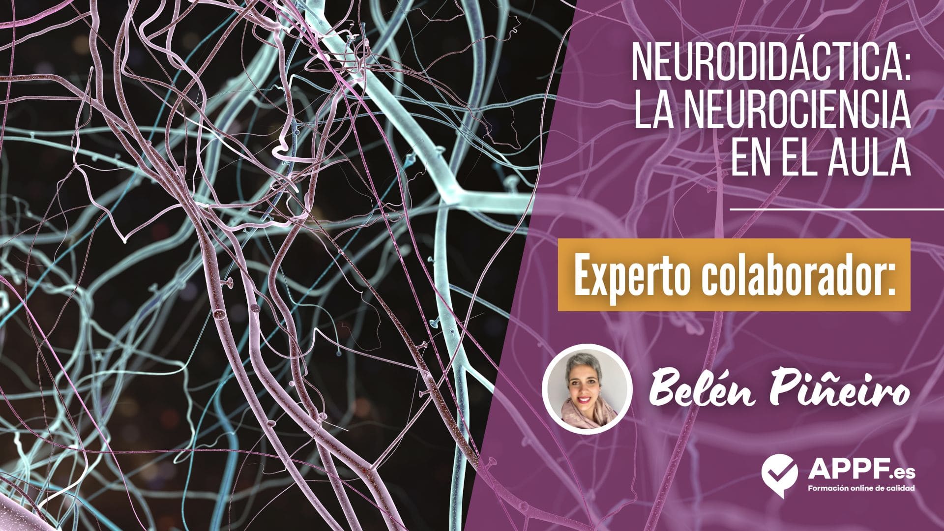 La neurodidactica en el aula: Neurociencia 