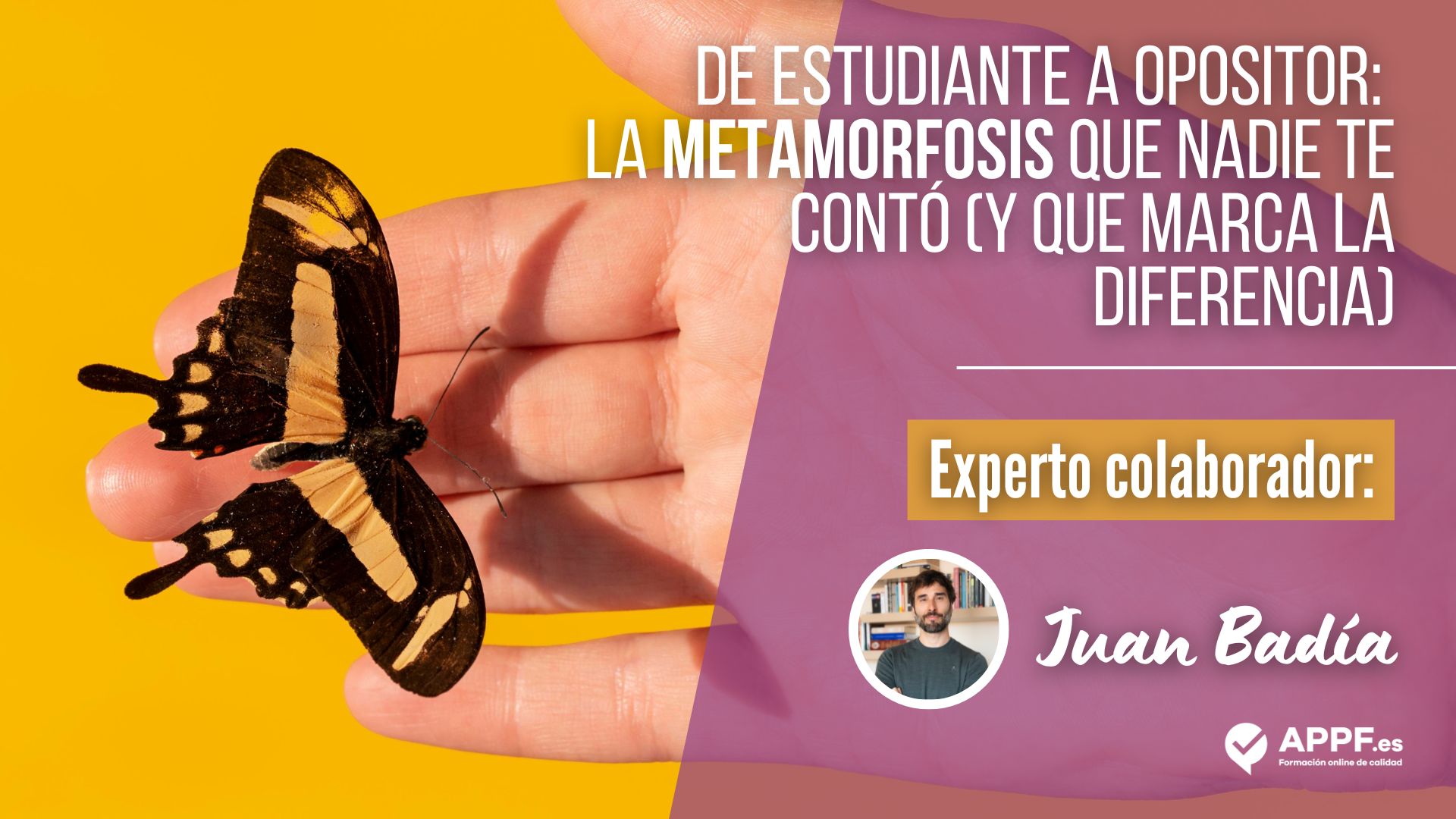 De estudiante a opositor: la metamorfosis que nadie te contó (y que marca la diferencia)