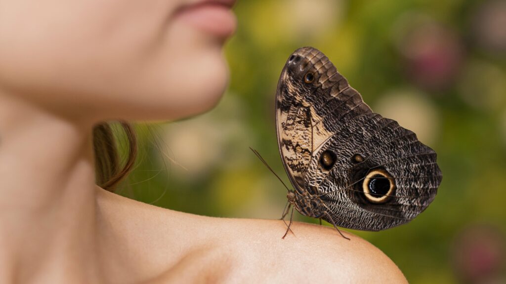 La metamorfosis en la oposición